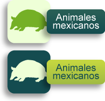 Animales mexicanos